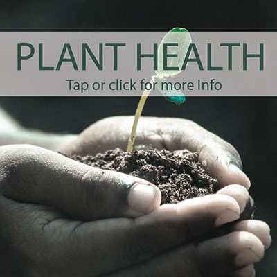 Plant health